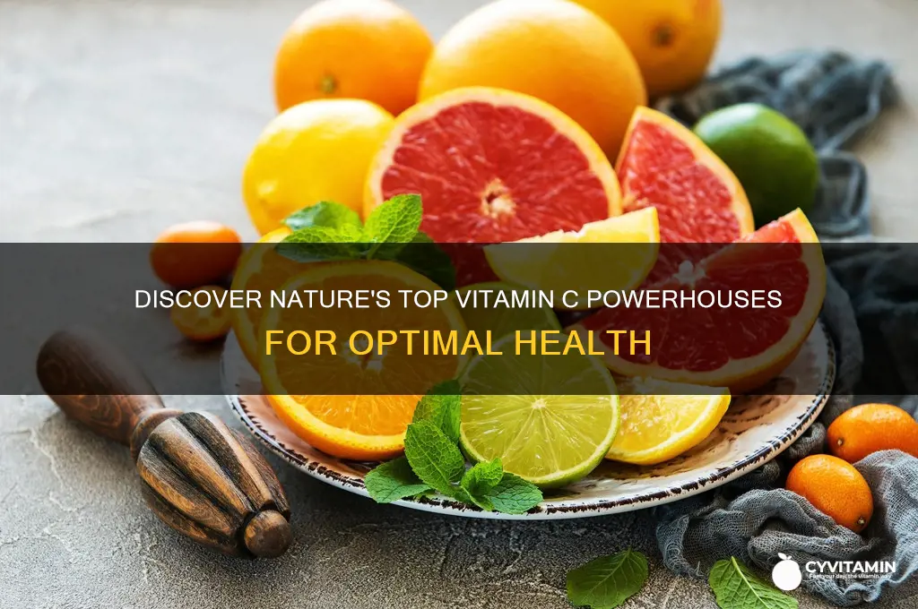 what is the best natural source of vitamin c