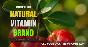 Discover the Top Natural Vitamin Brands for Optimal Health