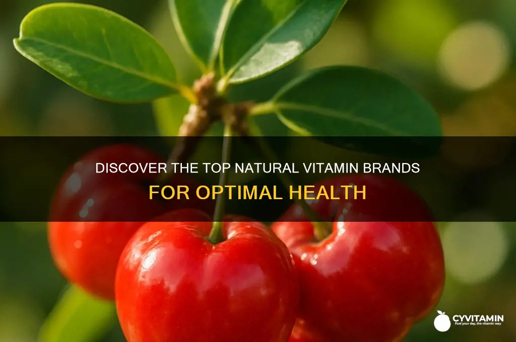 what is the best natural vitamin brand