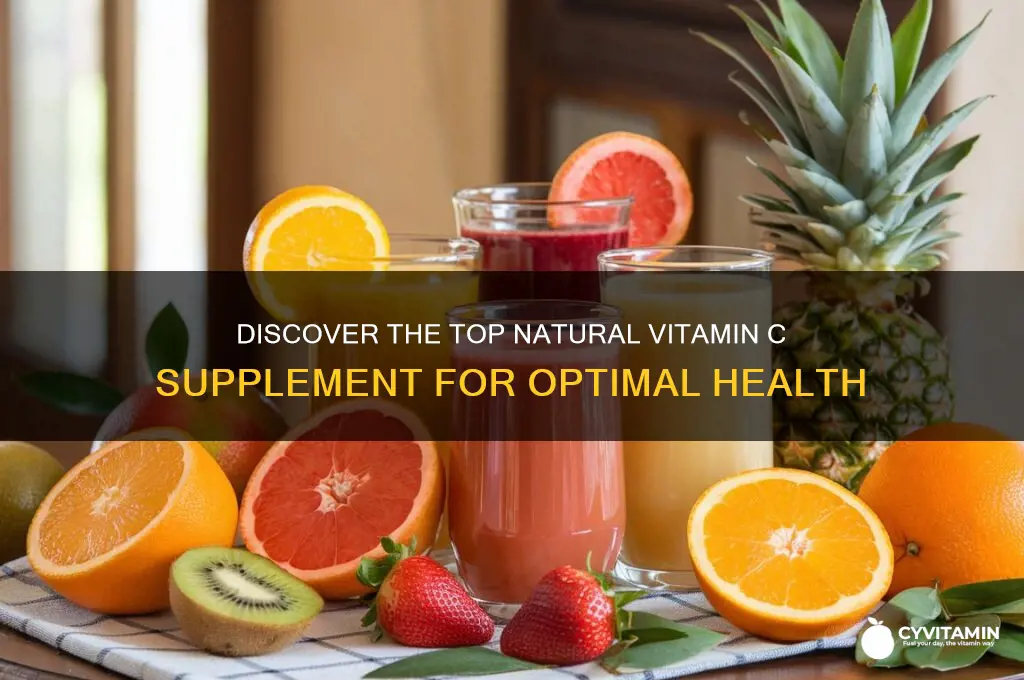 what is the best natural vitamin c supplement