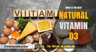 Discover the Best Natural Vitamin D3 Sources for Optimal Health