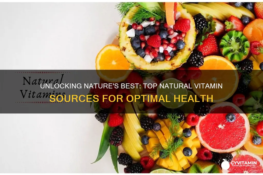 what is the best natural vitamin source in vitamins