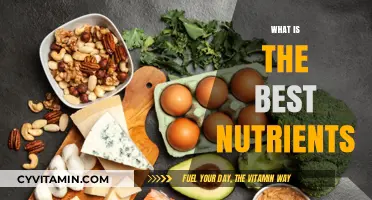 Unlocking Optimal Health: Discover the Best Nutrients for Your Body
