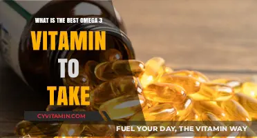 Top Omega-3 Supplements: Which Vitamin is Best for You?