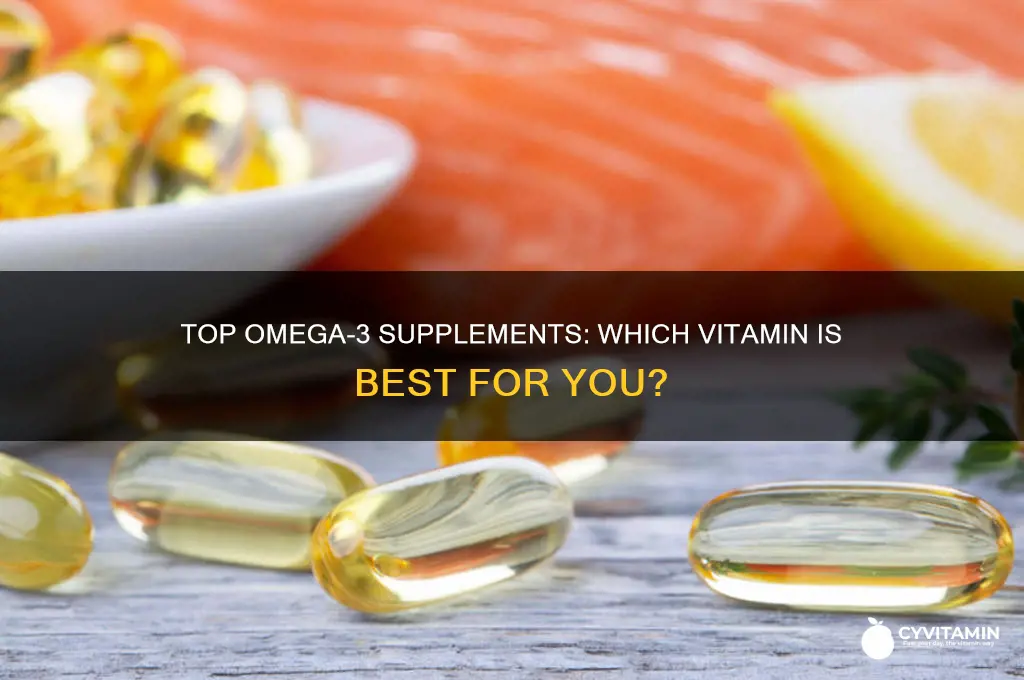 what is the best omega 3 vitamin to take