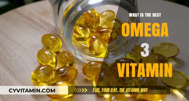 Discover the Top Omega-3 Vitamin for Optimal Health and Wellness