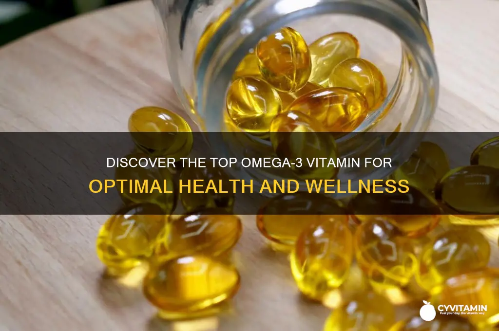 what is the best omega 3 vitamin