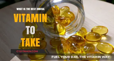 Discover the Best Omega Vitamin for Optimal Health and Wellness