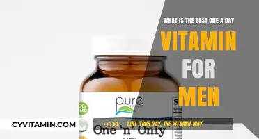 Top One-a-Day Vitamins for Men's Optimal Health and Wellness