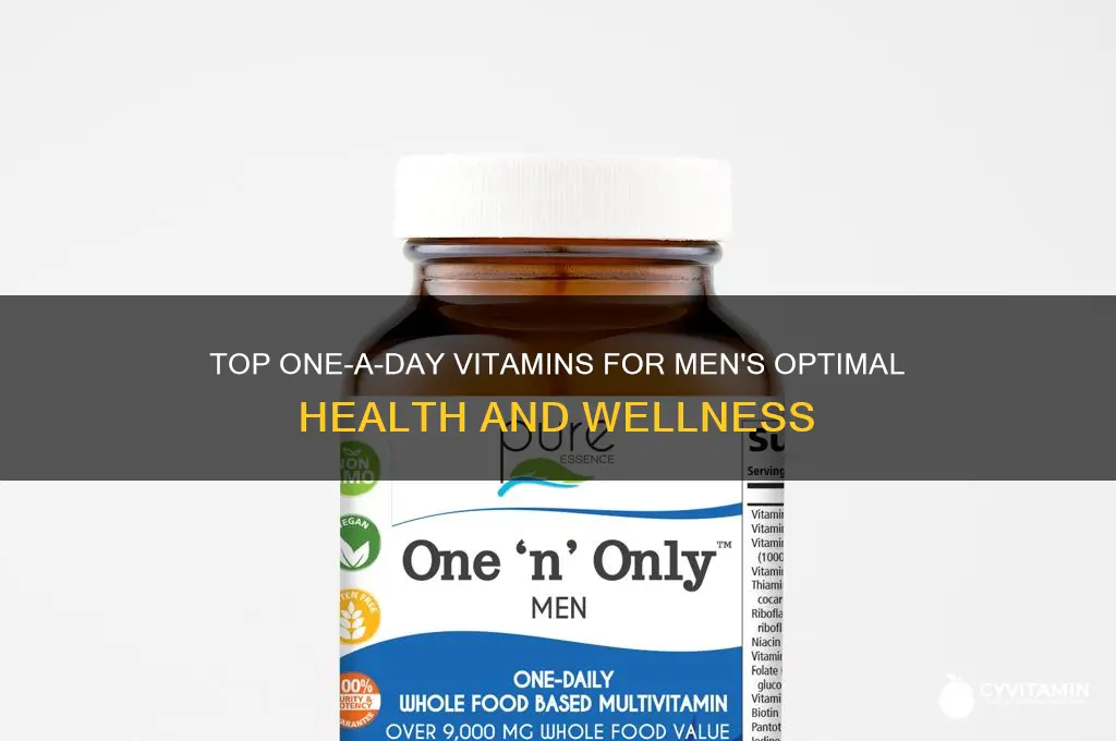 what is the best one a day vitamin for men