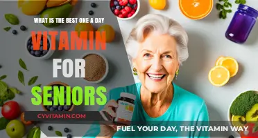 Top One-a-Day Vitamins for Seniors: Boosting Health and Vitality