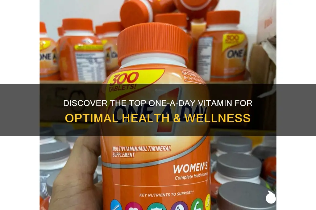 what is the best one a day vitamin