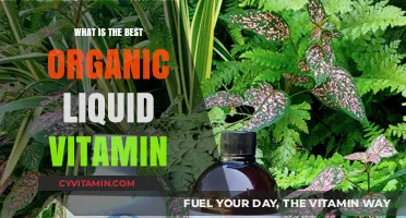 Discover the Top Organic Liquid Vitamin for Optimal Health Benefits
