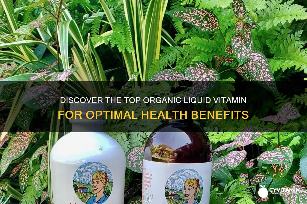 what is the best organic liquid vitamin