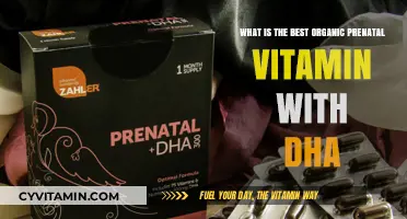 Top Organic Prenatal Vitamins with DHA for Healthy Pregnancy