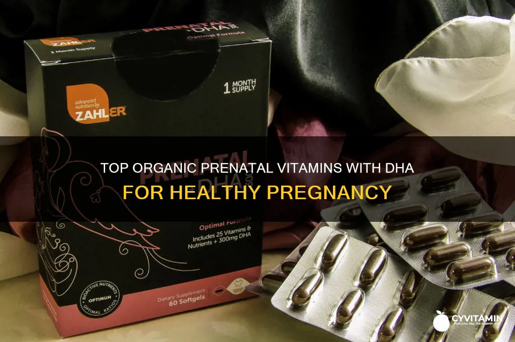 what is the best organic prenatal vitamin with dha