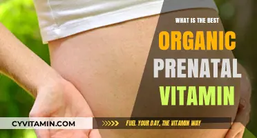 Top Organic Prenatal Vitamins for a Healthy Pregnancy Journey