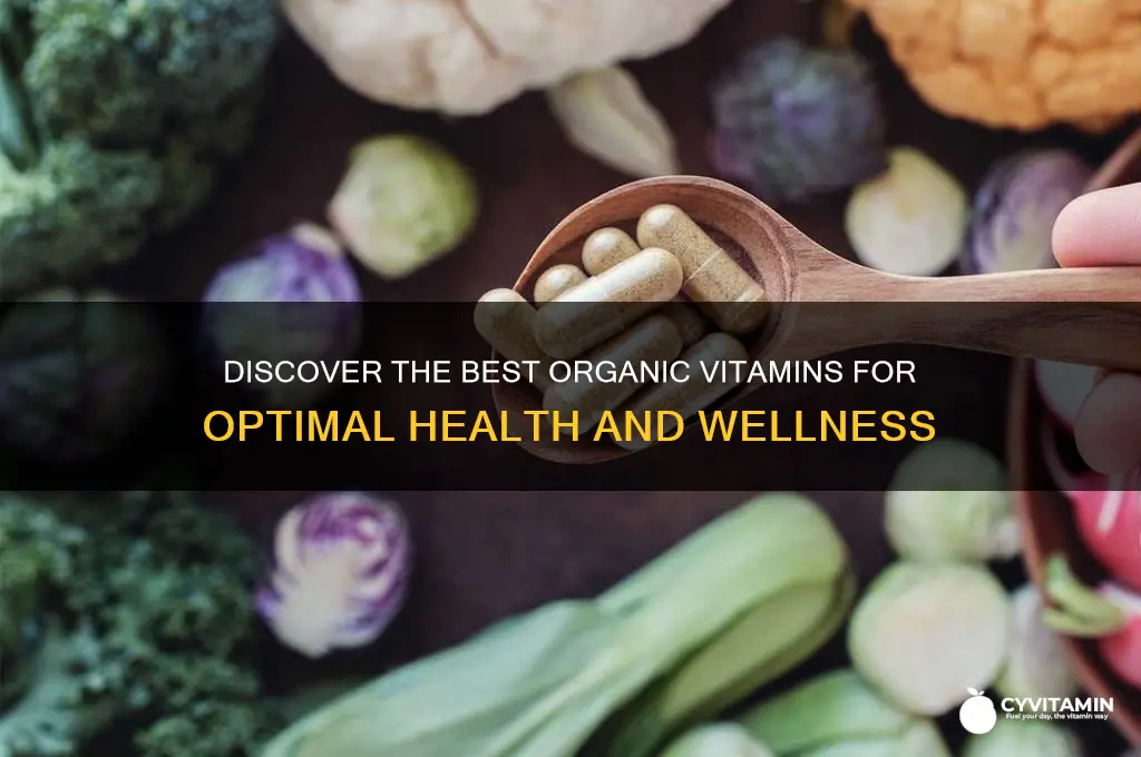what is the best organic vitamins