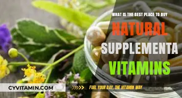 Top Natural Vitamin Supplements: Where to Buy Quality Options