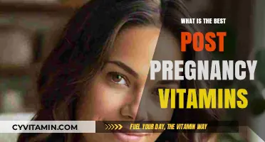 Essential Post-Pregnancy Vitamins for New Moms' Health and Recovery