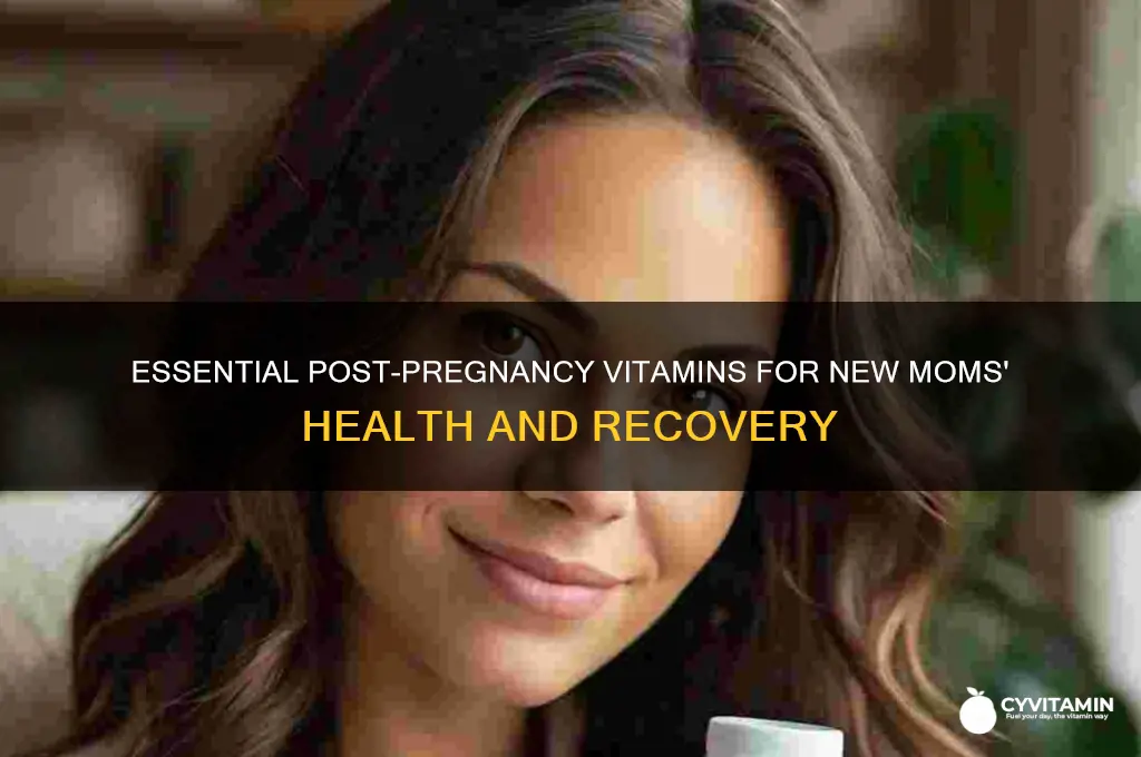 what is the best post pregnancy vitamins