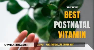 Top Postnatal Vitamins for New Moms: Essential Nutrients for Recovery