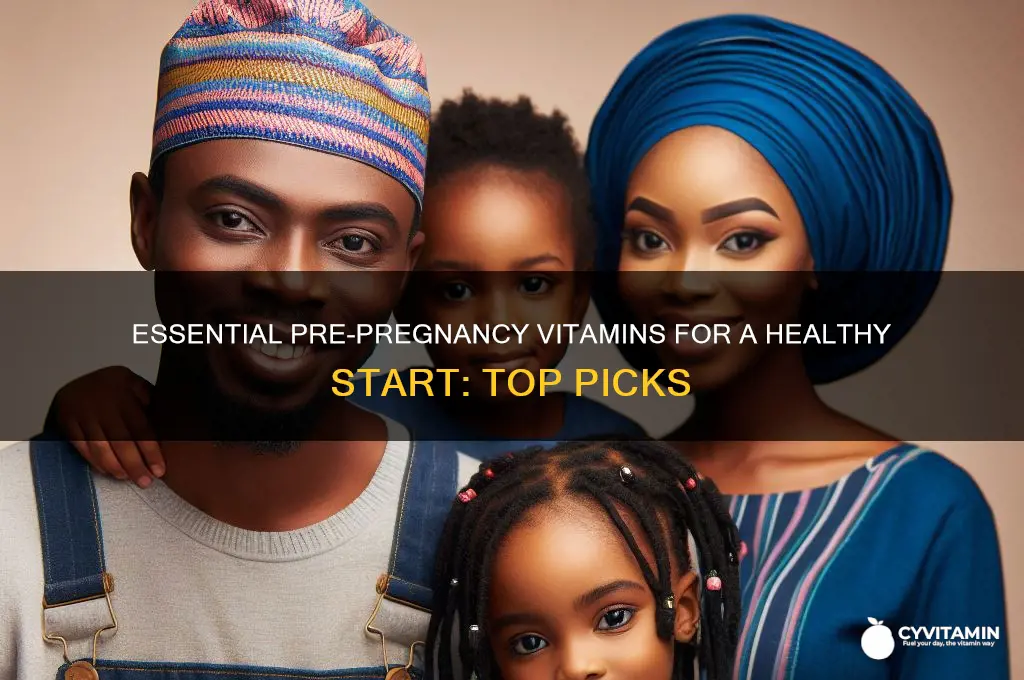 what is the best pre pregnancy vitamin to take