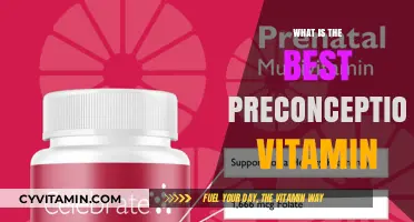 Top Preconception Vitamins for a Healthy Pregnancy Journey