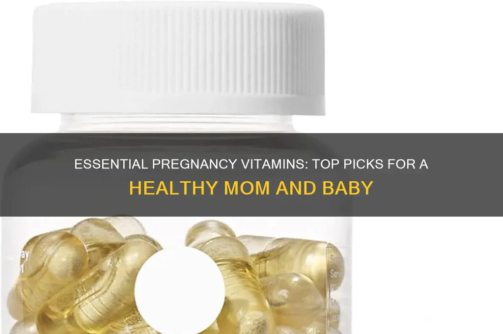 what is the best pregnancy vitamin