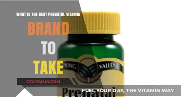 Top Prenatal Vitamin Brands for a Healthy Pregnancy Journey