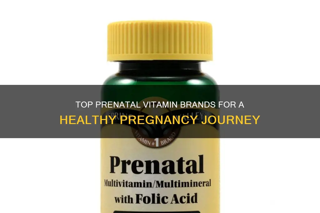 what is the best prenatal vitamin brand to take
