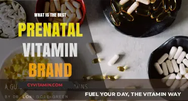 Top Prenatal Vitamin Brands for a Healthy Pregnancy Journey