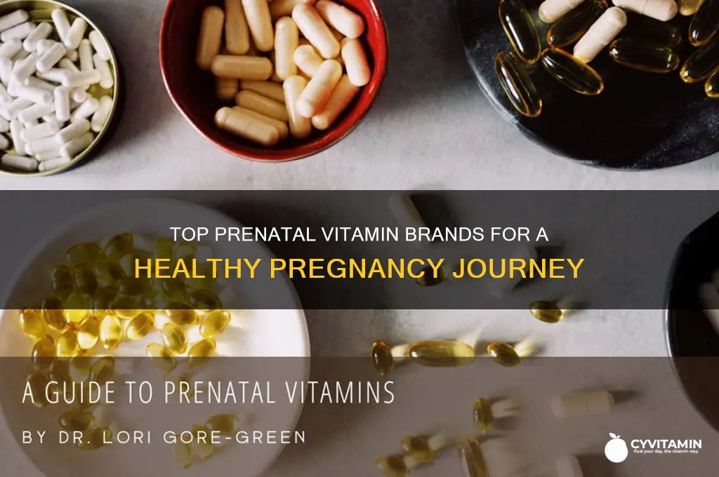 what is the best prenatal vitamin brand