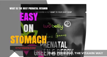 Gentle Prenatal Vitamins: Top Stomach-Friendly Options for Expecting Moms