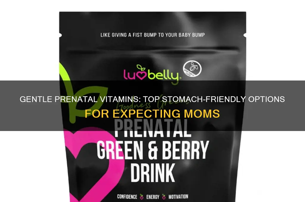 what is the best prenatal vitamin easy on stomach