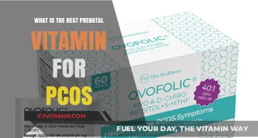 Top Prenatal Vitamins for PCOS: Essential Nutrients for Healthy Pregnancy