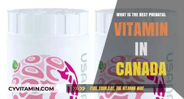Top Prenatal Vitamins in Canada: Expert Picks for Expecting Moms