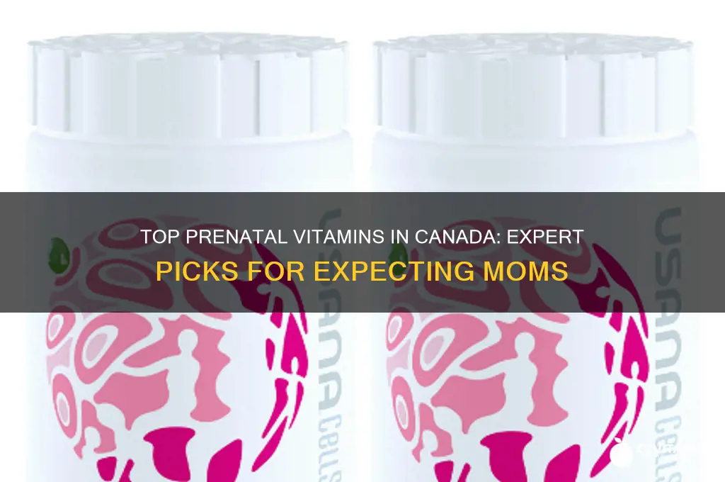 what is the best prenatal vitamin in canada