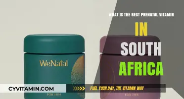 Top Prenatal Vitamins in South Africa: Expert Picks for Moms-to-Be