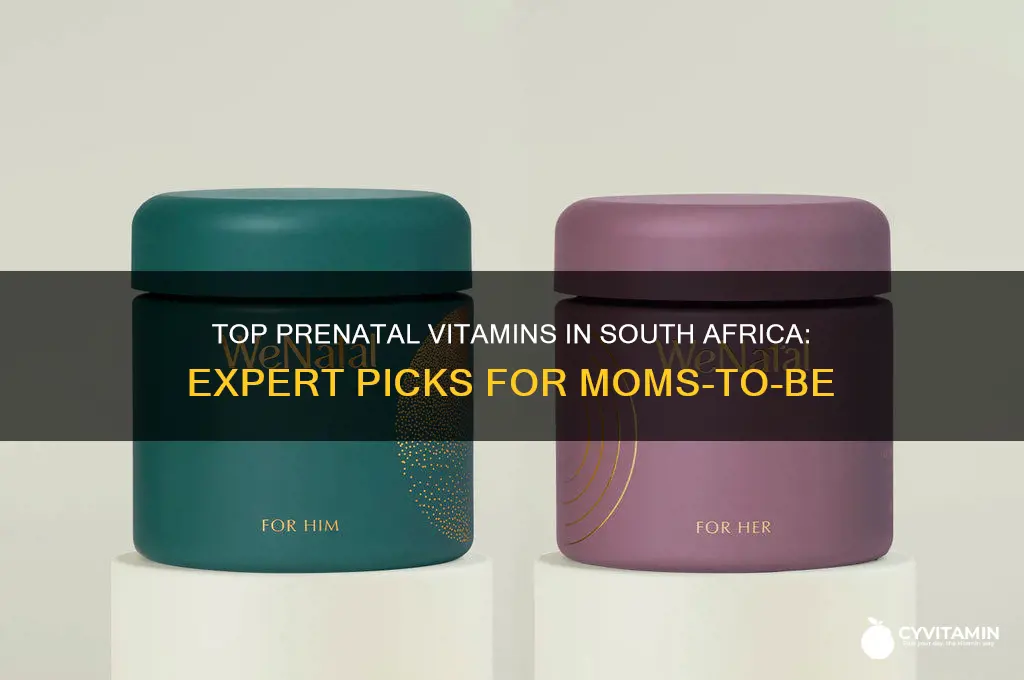 what is the best prenatal vitamin in south africa