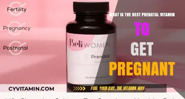 Top Prenatal Vitamins to Boost Fertility and Support Conception