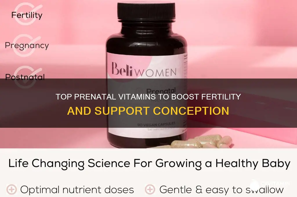 what is the best prenatal vitamin to get pregnant