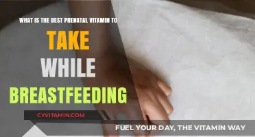 Top Prenatal Vitamins for Breastfeeding Moms: Essential Nutrients Guide