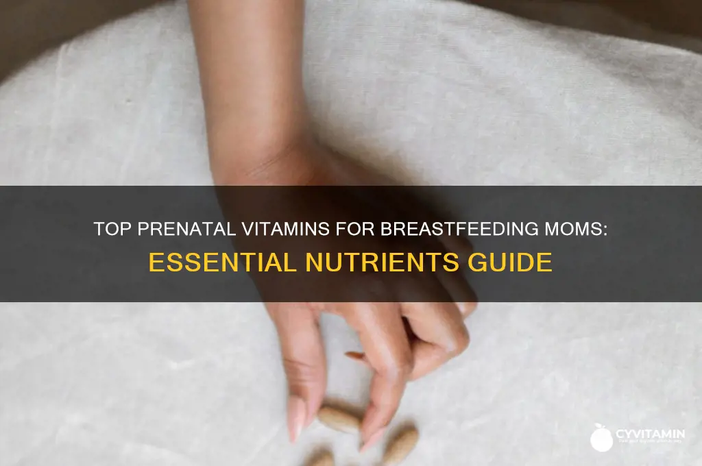 what is the best prenatal vitamin to take while breastfeeding