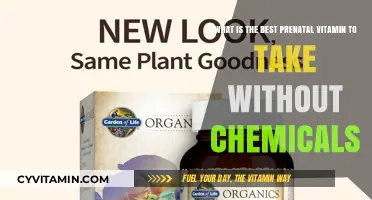 Natural Prenatal Vitamins: Top Chemical-Free Options for Healthy Pregnancy