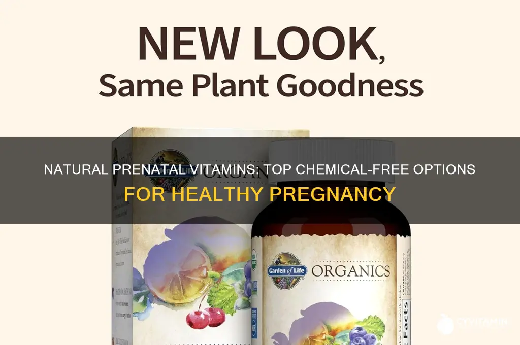 what is the best prenatal vitamin to take without chemicals
