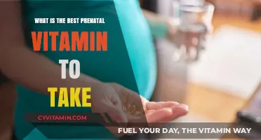 Top Prenatal Vitamins for a Healthy Pregnancy Journey