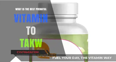 Top Prenatal Vitamins for a Healthy Pregnancy: Expert Recommendations