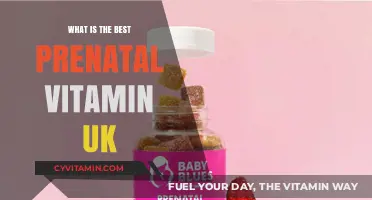 Top UK Prenatal Vitamins: Essential Nutrients for a Healthy Pregnancy