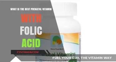 Top Prenatal Vitamins with Folic Acid for Healthy Pregnancy Support